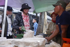 Pastikan Stok Aman, Bupati OKU Turun Langsung ke Pasar Tradisional