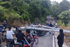 Dua Tiang Listrik Roboh, Melintang  Ditengah Jalan