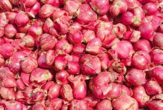 Apakah Benar Bawang Merah Bisa Menurunkan Panas pada Anak?, Simak Penjelasnya