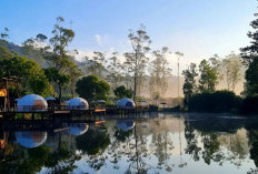 5 Tempat Destinasi Wisata di Bandung, Liburan Nataru Bersama Sang Kekasih Dijamin Semakin Seru