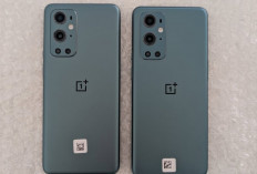 OnePlus 9 Pro: Jenis Hp Flagship dengan Fitur Lengkap 