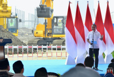 Indonesia Bangun Industri Baterai Listrik Terintegrasi