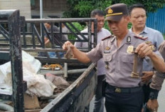Dua Pelaku Pencurian Rel Kereta Api Ditangkap di OKU