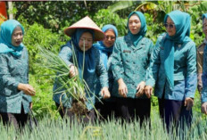 Perkuat Ekonomi Keluarga, Yohana Abusama Dorong Pemanfaatan Pekarangan