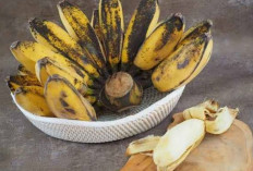 Begini Cara Merebus Pisang Kepok yang Sehat dan Aman Bagi Mengidap Diabetes