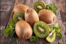 Apa Benar Buah Kiwi dapat Bikin Kurus? Dikonsumsi Rutin Selama Sebulan Berat Badan Akan Turun Segini 