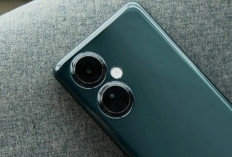 Oppo K11X, Hp Mid-Range yang Menghasilkan Kamera Memukau untuk Content Creator