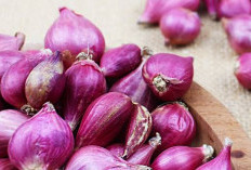 Mengatasi Penuaan Dini dengan Bawang Merah: Solusi Alami untuk Kulit Sehat