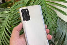 Oppo A16: Smartphone Terjangkau dengan Kekuatan Kamera dan Baterai Tahan Lama