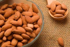 Bukan Hanya Kacang Hijau, Ternyata Kacang Almond Juga Memiliki Manfaat Luar Biasa Untuk Kesehatan 