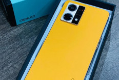 OPPO Reno7 4G: Kamera 64MP Ultra Night Mode dan Baterai 5000mAh untuk Petualangan Tak Terbatas