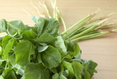 Tetap Muda dengan Sayur Bayam: Rahasia Mengatasi Penuaan Dini Secara Alami!