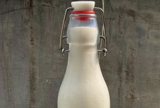 Susu Keledai, Rahasia Alami Mencegah Penuaan Dini: Kaya Vitamin dan Antioksidan yang Tinggi!