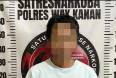 Polres Way Kanan Ringkus Pengedar Sabu asal OKU Timur, Sita 32 Gram Sabu Senilai Rp32 Juta