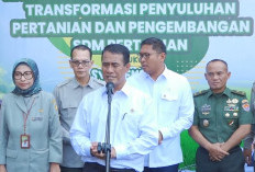 Mentan Amran: Jual di Atas HET, Minggu Ini Kita Lock Tidak Boleh Lagi Jual Pupuk