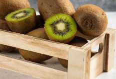 Manfaat Mengkonsumsi Buah Kiwi Secara Rutin untuk Kesehatan, Ini Vitamin yang Bnyak Terkandung Didalamnya 