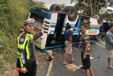 Micro Bus Hilang Kendali dan Terguling di OKU Selatan, Tiga Penumpang Luka Berat