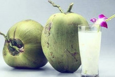 4 Cara Menggunakan Air Kelapa Untuk Wajah, Manfaat Tangkal Penuaan Dini