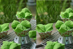 Resep Bolu kukus Pandan, Kreasi Hidangan Tradisional Keluarga