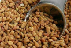 Selain Sebagai Bumbu Masakan, Biji Fenugreek Memiliki Manfaat Bagi Kesehatan, Termasuk Meringankan Nyeri Haid