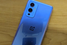 OnePlus 9: Kamera Hasselblad yang Membuat Smartphone Jadi Studio Fotografi Portable