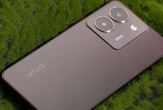 Keunggulan Vivo Y27s: Harga 2 Jutaan, Spesifikasi Gacor