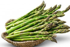 Asparagus: Sayuran Super untuk Menjaga Kesehatan Janin selama Kehamilan