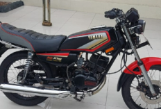 3 Jenis Yamaha RX King yang Banyak Diminati Anak Mudah