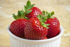 Memiliki Rasa Masam Manis, Ternyata Buah Stroberi Dapat Mengatasi Penuaan Dini