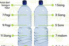 Manfaat Air Putih untuk Mencegah Penuaan Dini