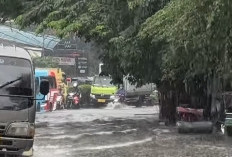 Predikisi Cuaca: Langit Sumsel Tertutup Awan, Hujan Ringan Siap Turun di Malam Hari Ini