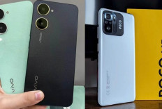 Perbandingan Spesifikasi VIVO Y03 vs POCO M5s, Duel HP Murah Rp 1 Jutaan Terbaru