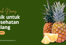 Manfaat Buah Nanas bagi Kesehatan Terutama Lansia Umur 50 Tahunan