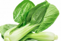 Tidak Hanya Segar dan Lezat, Sayur Pokcay Juga Bisa Menjaga Kesehatan Tulang 