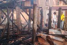 Rumah Panggung Terbakar, Sambar Sarang Walet Tetangga