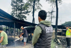 Upaya Persuasif dari Polsek Sanga Desa Polres Muba, 19 Tungku Penyulingan Minyak Illegal dibongkar Sendiri