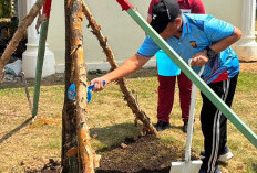 Hari Bhayangkara ke-80: Kapolda Sumsel Pimpin Penanaman Pohon Produktif, Tanam Filosofi Pengabdian Polri