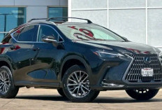 Lexus NX 350h: Kemewahan Tanpa Emisi Berlebih