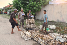 Petani Sumbringah, Harga Karet Tinggi