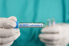 Tren Influenza A (H3N2) Subclade K di Indonesia Menurun
