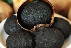 Black Garlic Bisa Meningkatkan Sistem Kekebalan Tubuh, Solusi Yang Efektif