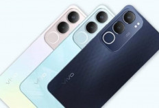 Unggul Mana Vivo Y19s Vs Vivo Y17s , Intip Spesifikasinya