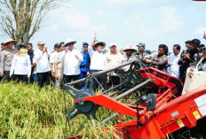 Soroti Peran Penting Petani dan PPL dalam Meningkatkan Produksi Padi