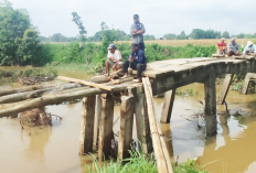 Masyarakat Desa Taraman Jaya Perbaikan Jembatan Secara Swadaya
