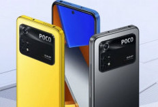 Poco M4 Pro: Smartphone Layar AMOLED, kamera 64Mp dan Performa Ngebut, Cuma Rp 2 Jutaan