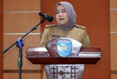 Pemkab OKU Selatan Buka Seleksi Terbuka Jabatan Sekwan dan 2 Kepala Dinas