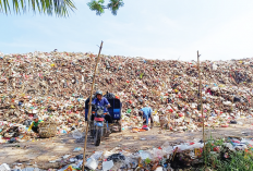 Sehari 20 Ton Sampah, Masyarakat Perlu Sadar Sampah