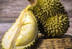 Durian, Buah Eksotis yang Mampu Mengatasi Insomnia? Simak Penjelasannya