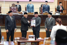 Raih Opini WTP Ke-11, Deru: Bukti Kepercayaan Publik pada Sumsel