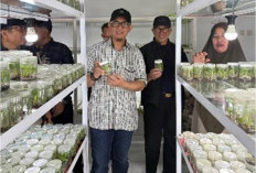 OKU Bidik Jadi Sentra Buah Unggulan, Pemkab Siapkan Program Kultur Jaringan